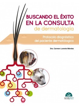 Buscando El Éxito En La Consulta De Dermatología