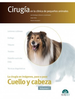Cirugía En La Clínica De Pequeños Animales. Cuello Y Cabeza. Vol. I