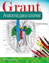Grant Anatomía Para Colorear