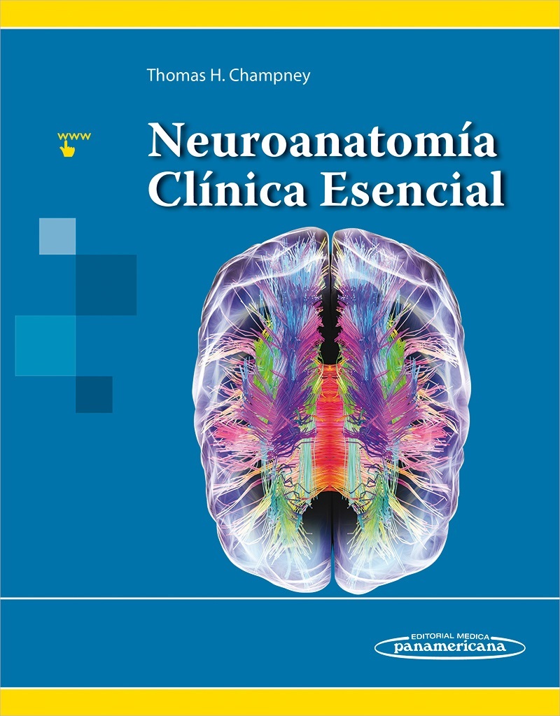 Neuroanatomía Clínica Esencial