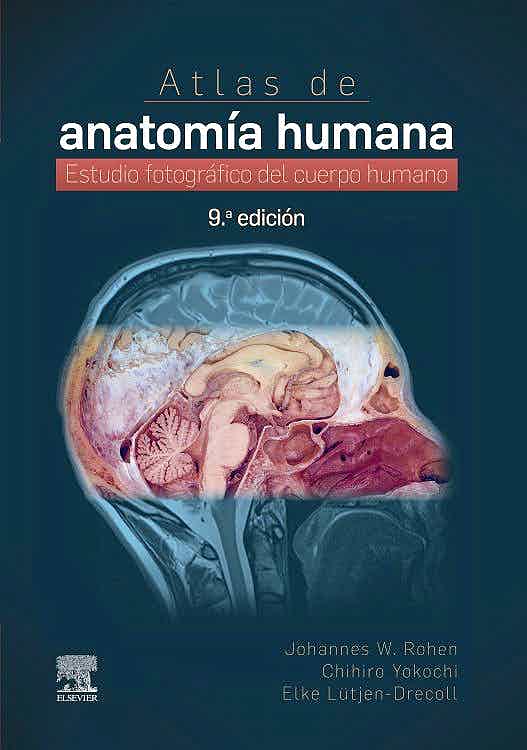 Atlas De Anatomía Humana. Estudio Fotográfico Del Cuerpo Humano