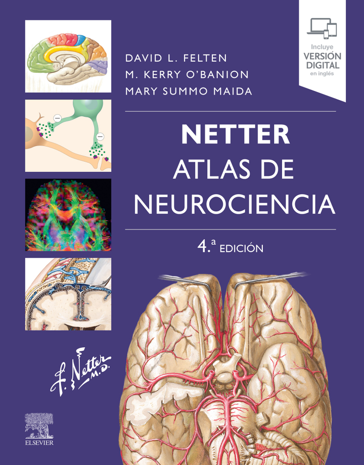 NETTER Atlas de Neurociencia