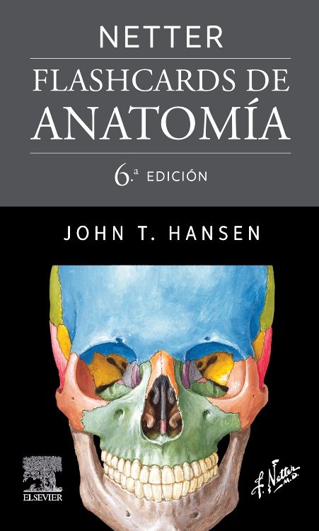 NETTER Flashcards de Anatomía
