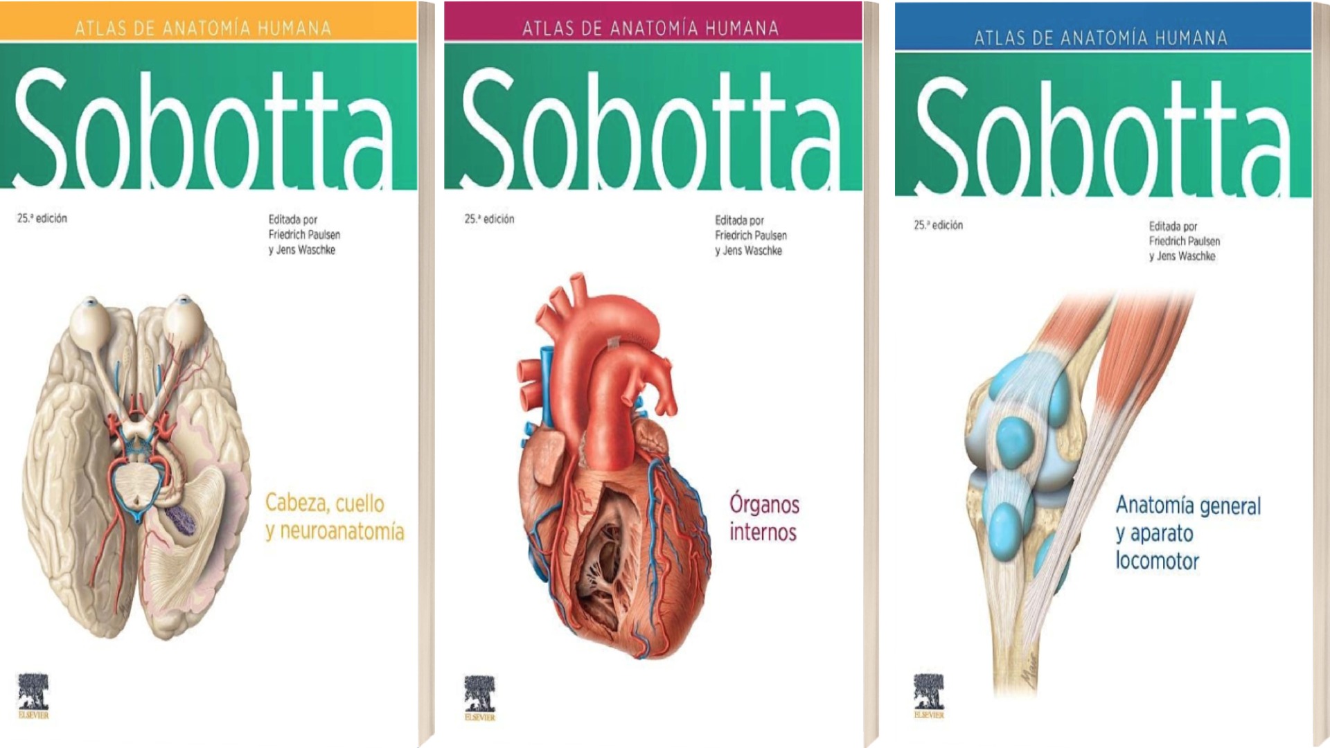 Sobotta. Atlas de Anatomía Humana 3 vol.