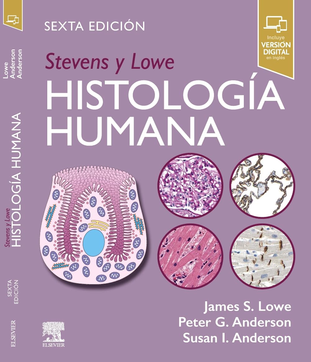 STEVENS y LOWE Histología Humana