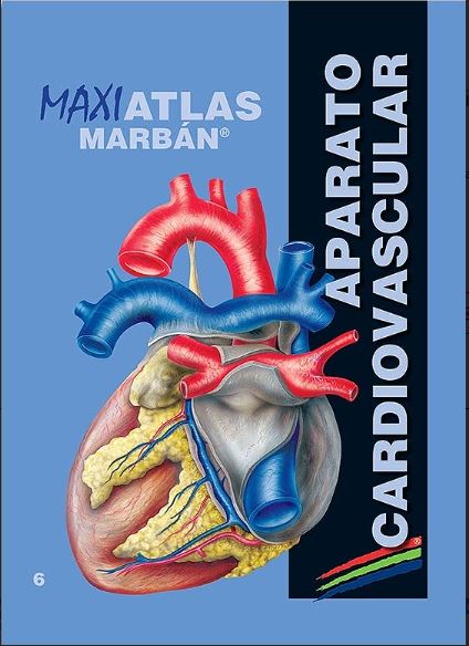 Maxi Atlas, Vol. 6: Aparato Cardiovascular