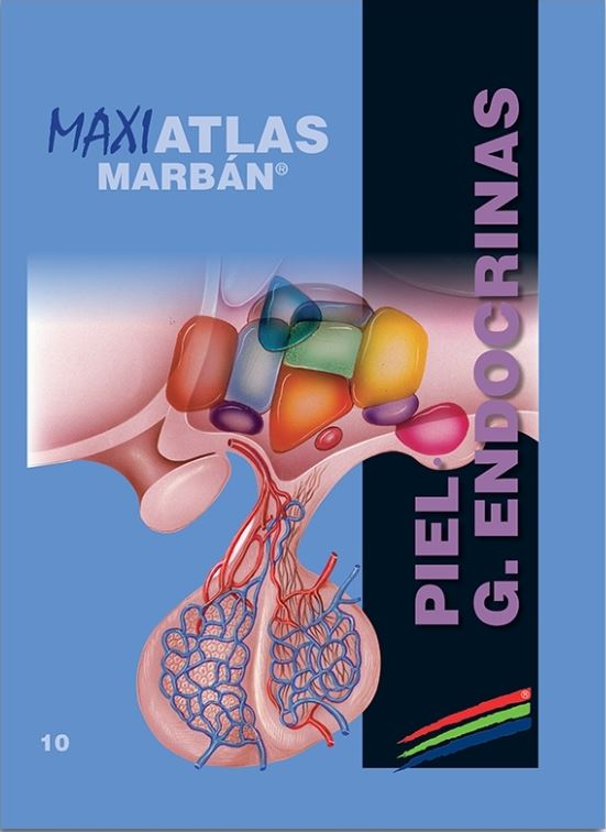 Maxi Atlas Vol. 10: Piel. Glándulas Endocrinas
