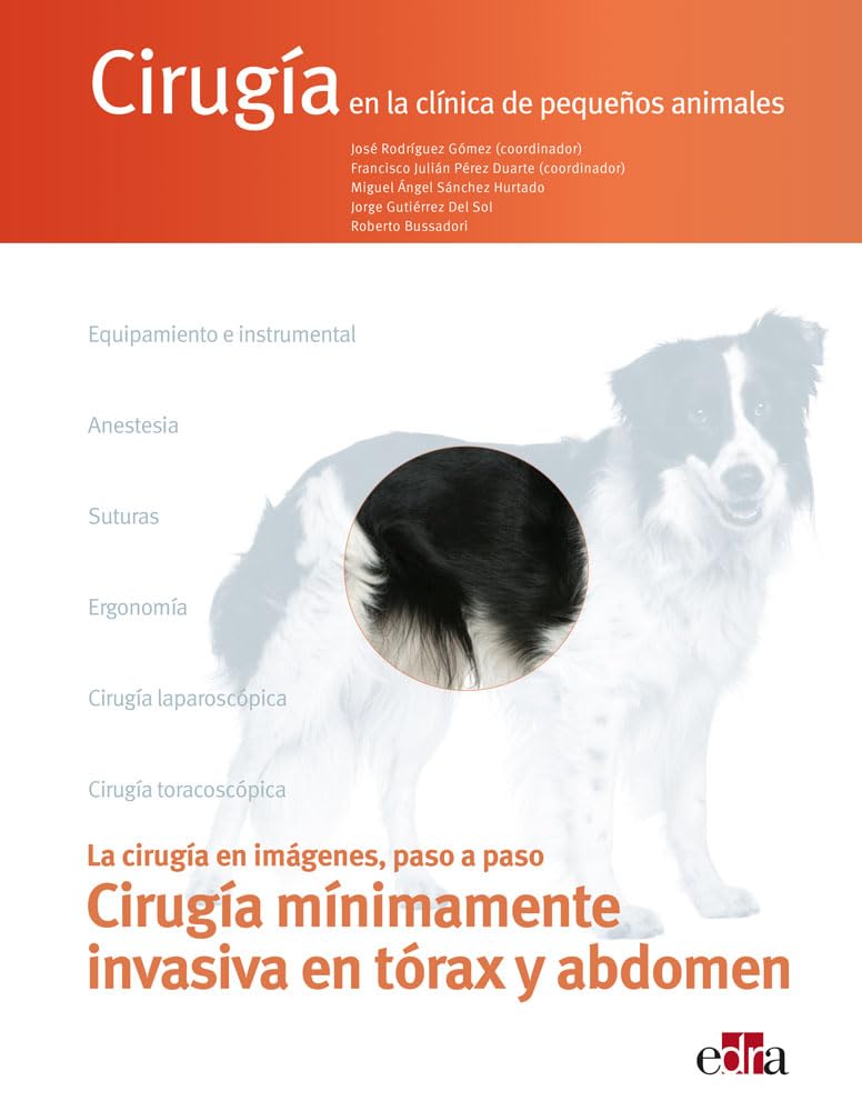 Cirugía en la Clínica de Pequeños Animales Cirugía Mínimamente Invasiva en Tórax y Abdomen.