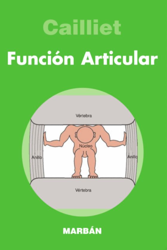 Función articular