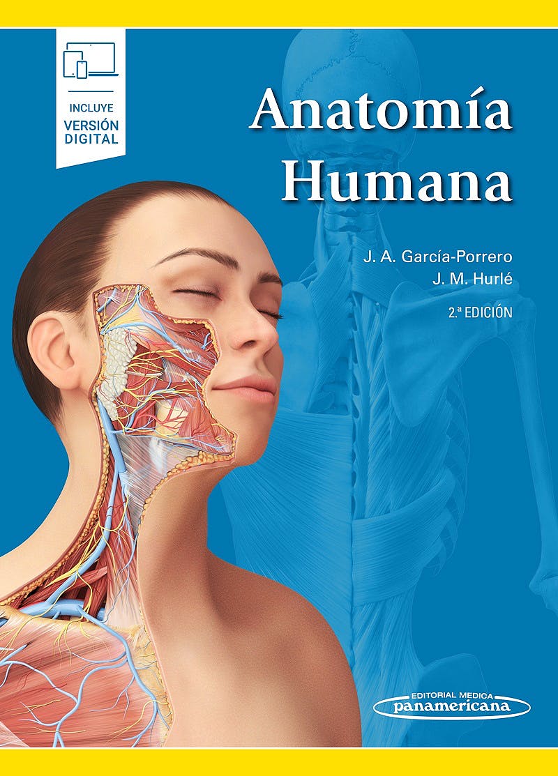 Anatomía Humana