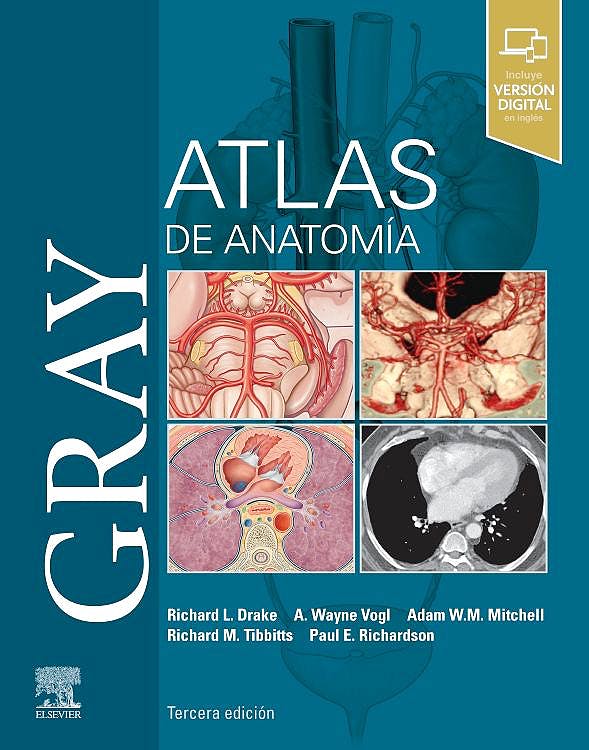 Gray Atlas De Anatomía
