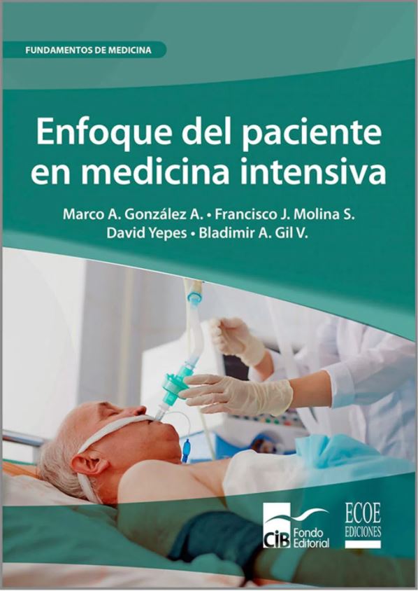 Enfoque Del Paciente En Medicina Intensiva 1Ed