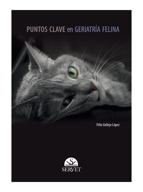 Puntos Clave En Geriatría Felina