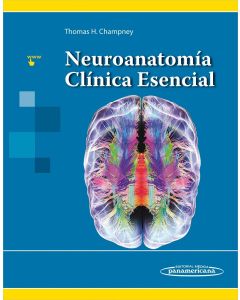 Neuroanatomía Clínica Esencial