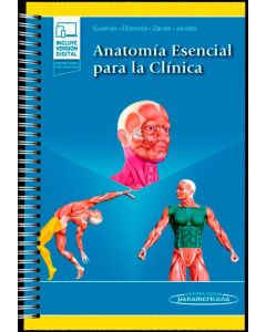 Anatomía Esencial Para La Clínica
