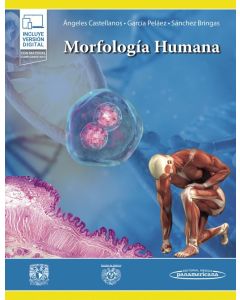 Morfología Humana