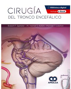 Cirugía del Tronco Encefálico