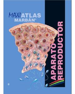 Maxi Atlas Vol. 8: Aparato Reproductor