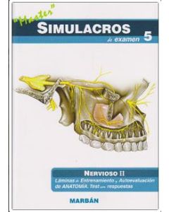 Simulacros 5, Nervioso Ii