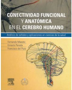 Conectividad Funcional Y Anatómica En El Cerebro Humano