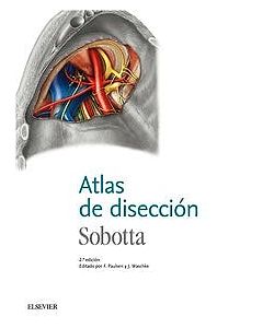 Sobotta Atlas De Disección .