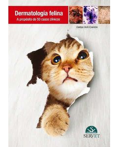 Dermatología Felina