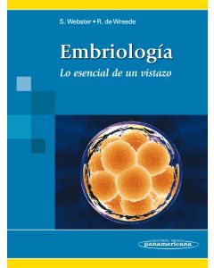 Embriología Lo Esencial De Un Vistazo