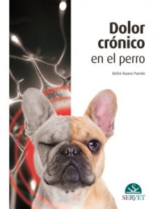 Dolor Crónico En El Perro