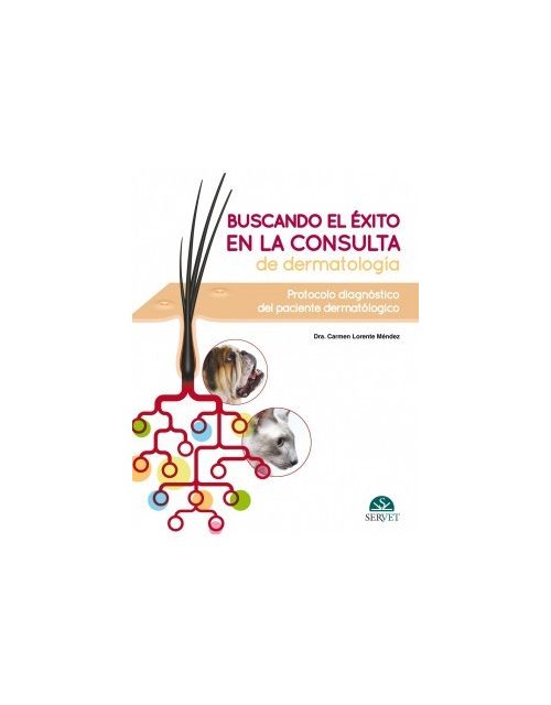 Buscando El Éxito En La Consulta De Dermatología