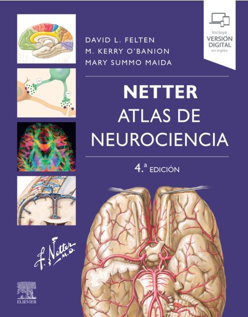 NETTER Atlas de Neurociencia