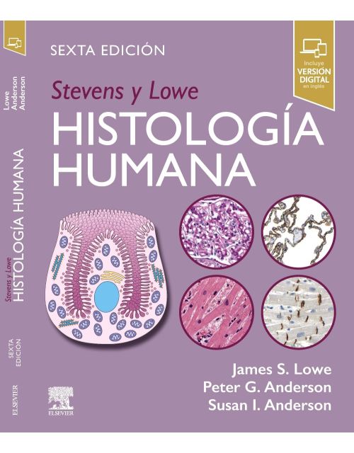 STEVENS y LOWE Histología Humana