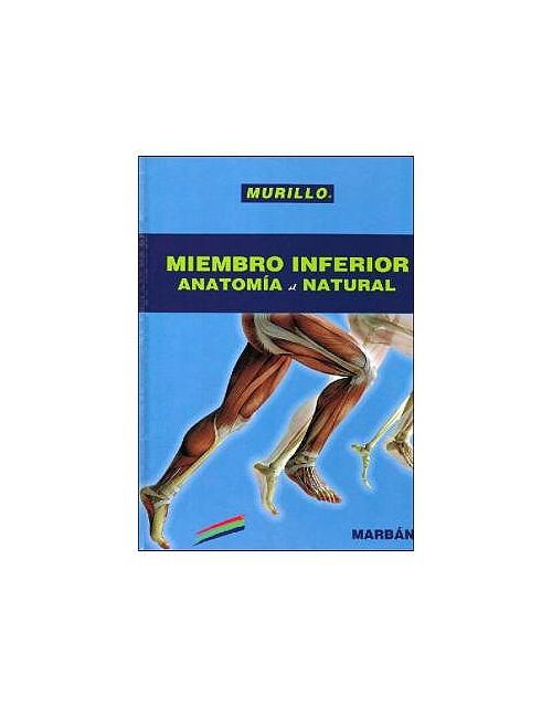 Miembro Inferior. Anatomía Al Natural