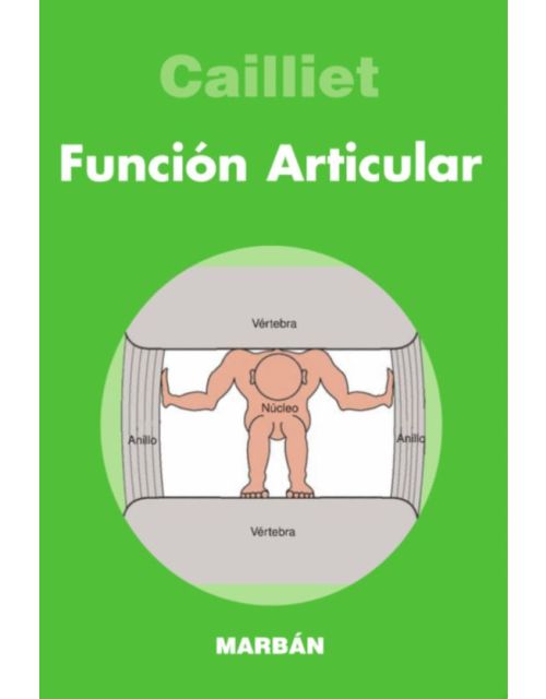 Función articular