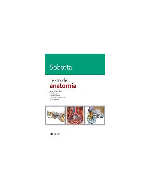 Sobotta Texto De Anatomía