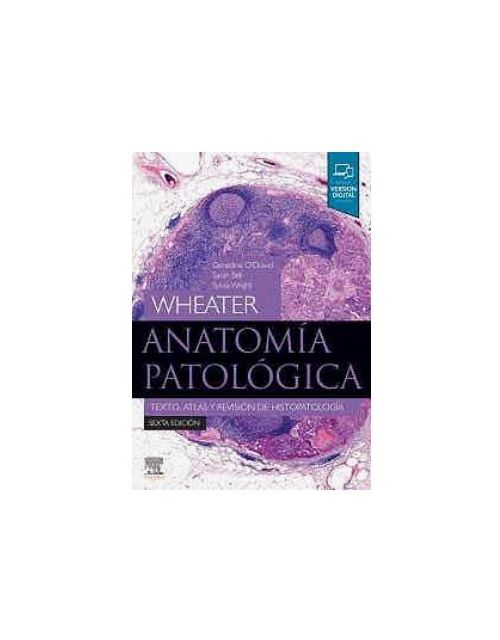 Wheater Anatomía Patológica 6Ed.
