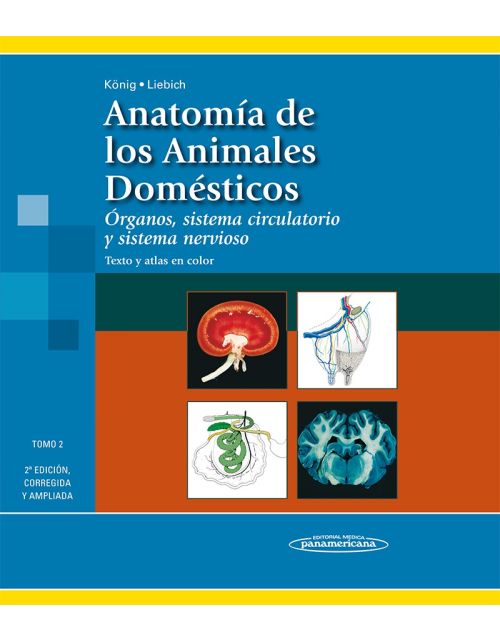 Anatomía De Los Animales Domésticos Texto Y Atlas En Color Tomo 2