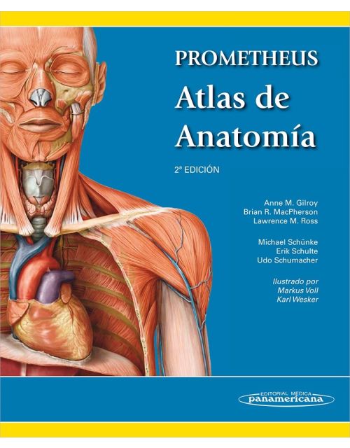 Prometheus Atlas De Anatomía