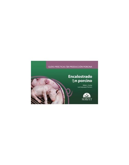 Guías Prácticas En Producción Porcina. Encalostrado En Porcino