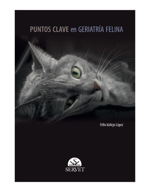 Puntos Clave En Geriatría Felina
